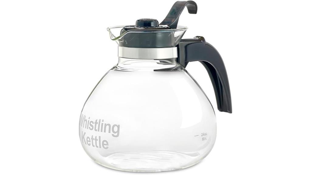 borosilicate glass tea kettle
