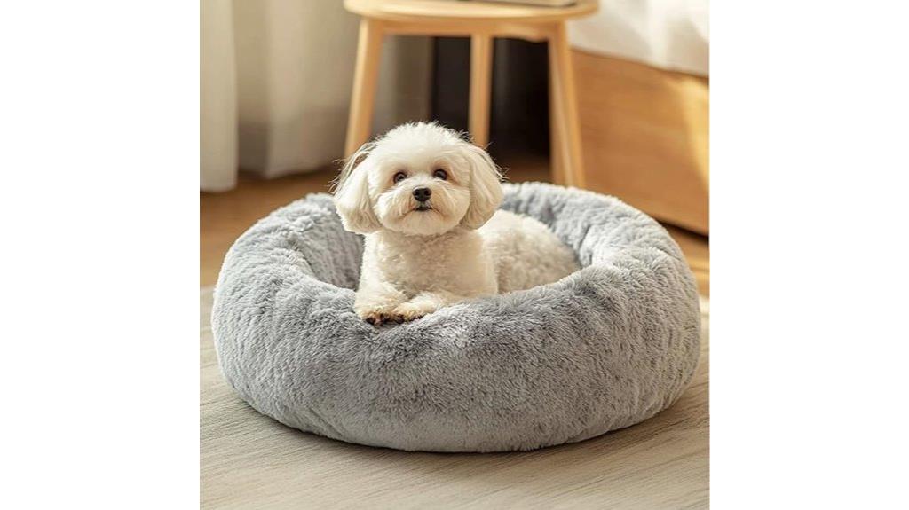 calming bed for pets