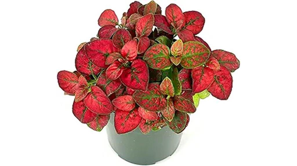 colorful indoor air purifier