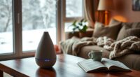 cozy humidifiers for winter
