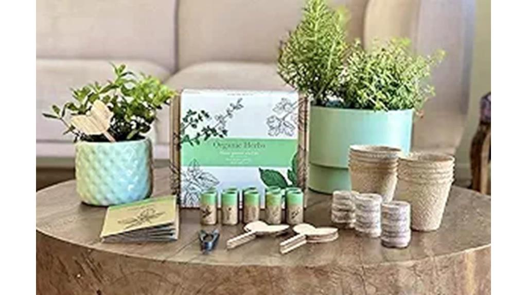 herb garden starter kit