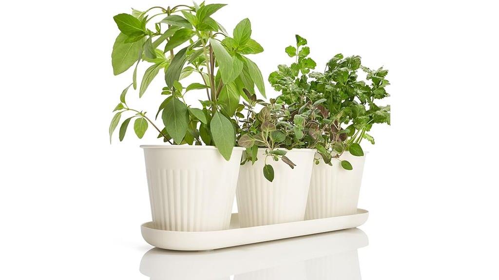 indoor herb garden set