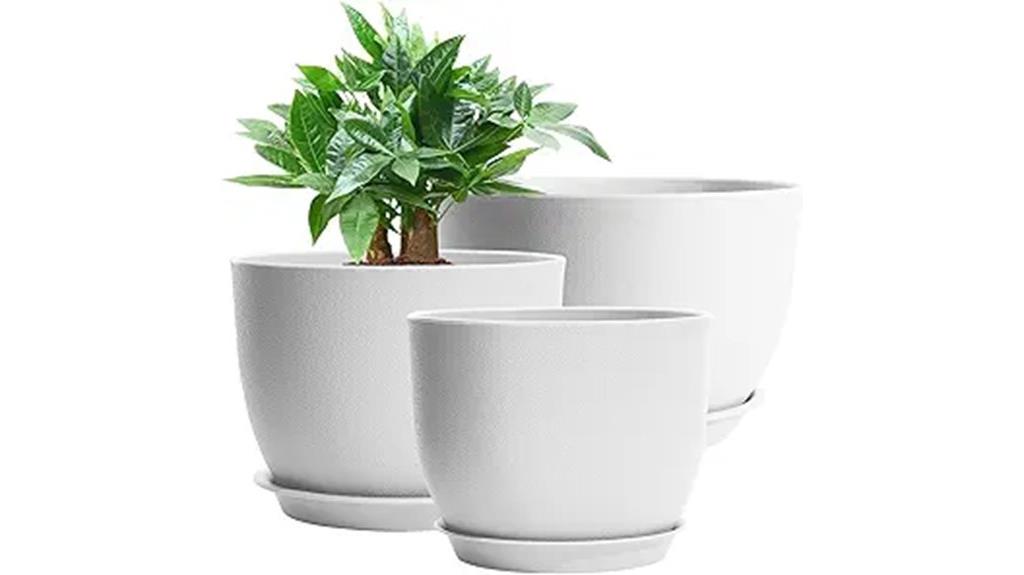 large indoor plant containers
