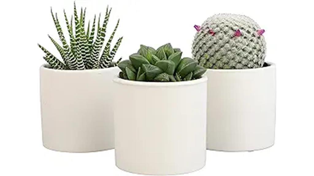 low light house plants