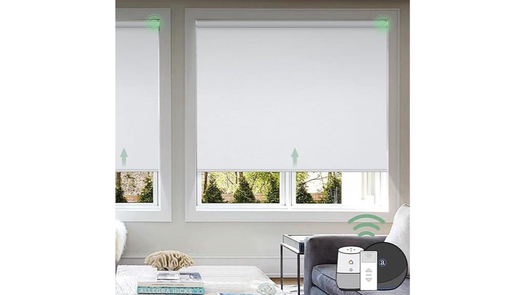 remote controlled blackout blinds