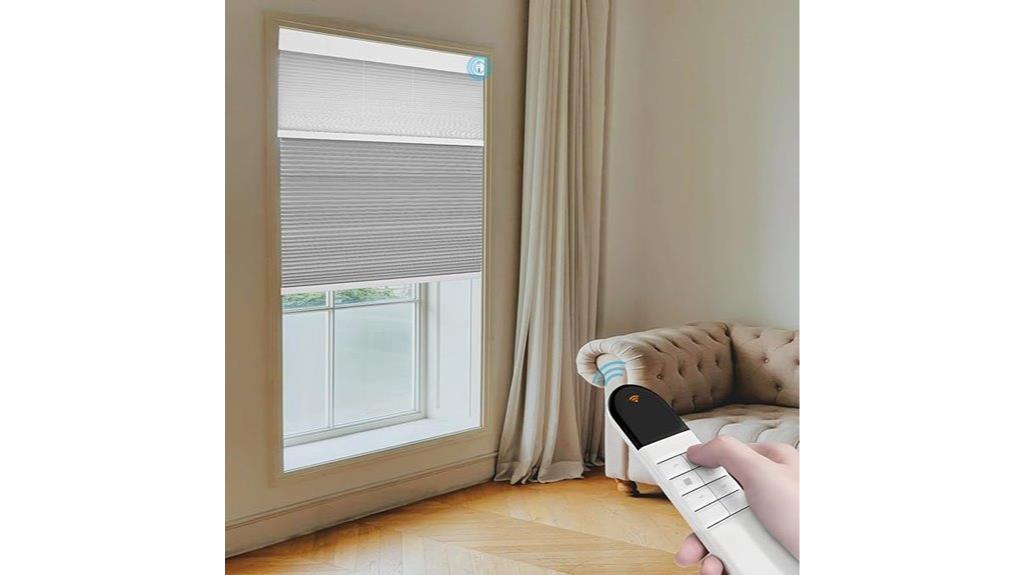 remote controlled double roller blinds