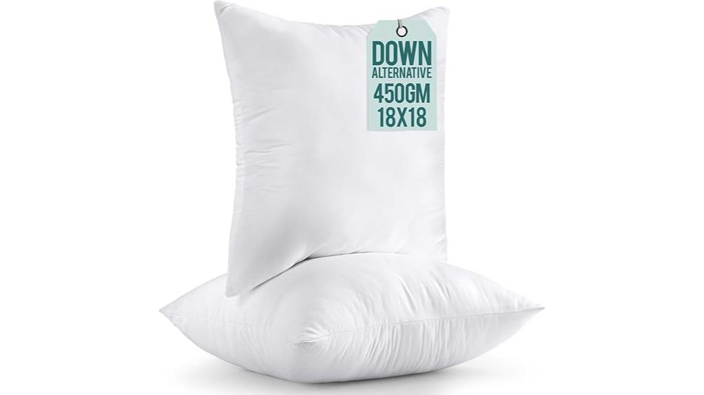 throw pillow inserts pack