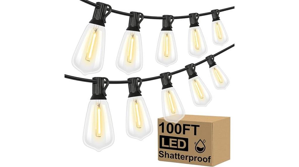 vintage edison bulb string