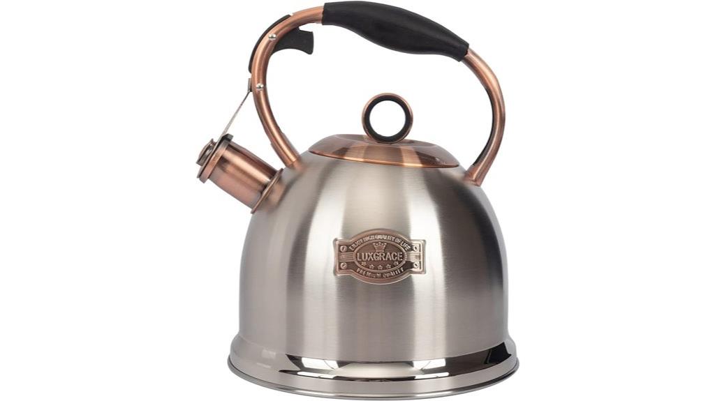 whistling stainless steel kettle