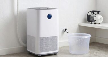 dehumidifier drain options