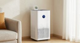 optimal humidity for mold prevention