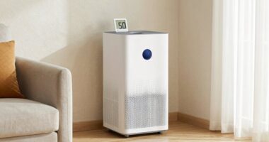 optimal humidity for mold prevention