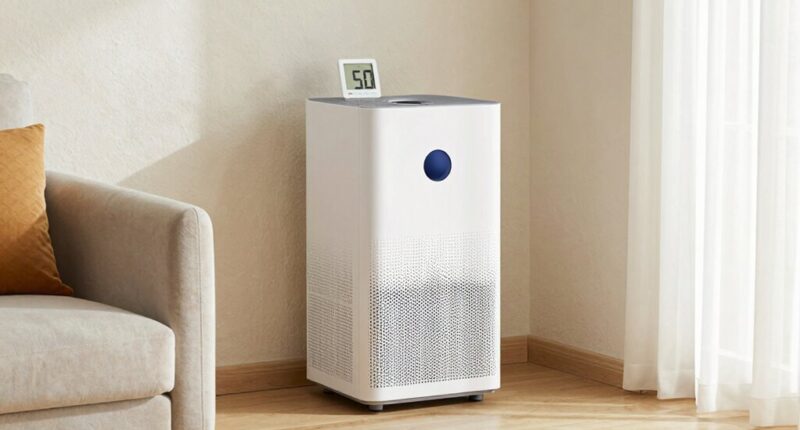 optimal humidity for mold prevention