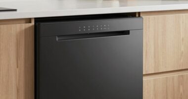 silent dishwasher noise levels