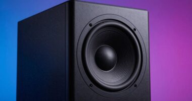 top 14 12 inch powered subwoofers