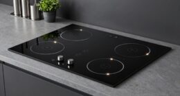 top 15 induction cooktops
