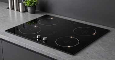 top 15 induction cooktops