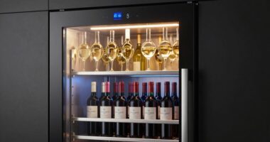 top dual zone wine fridges