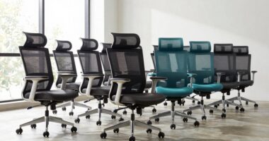 top ergonomic office chairs
