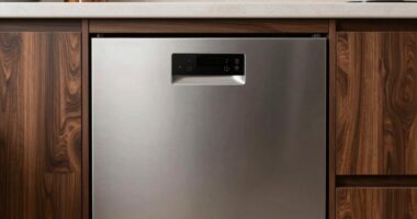 top panel ready dishwasher picks