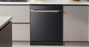 top quiet dishwashers 2026