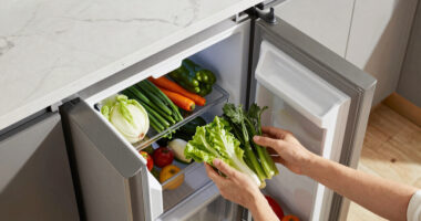 2 Best Built In Side By Side Refrigerator in 2026
