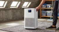 4 Best Dehumidifier for Whole Basement in 2026