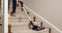 6 Best Cordless Vacuum for Pet Hair and Stairs in 2026