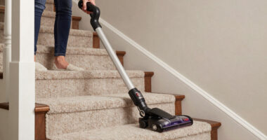 6 Best Cordless Vacuum for Pet Hair and Stairs in 2026