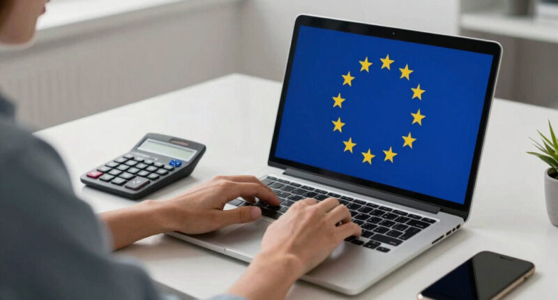 The European Union: Rules First, Cushion Always