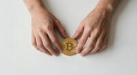 Bitcoin Battles Unfold in Live Warzone Visualization