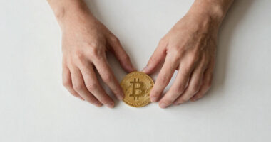 Bitcoin Battles Unfold in Live Warzone Visualization
