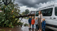 Schwere Gewitter In Hamburg: Baum Kracht Auf Familien-Van – Kinder Eingeschlossen - Mopo.de
